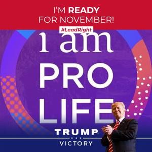 Meet your Posher, Tom